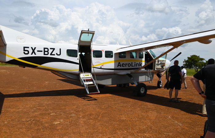 3-days-flying-gorilla-safari