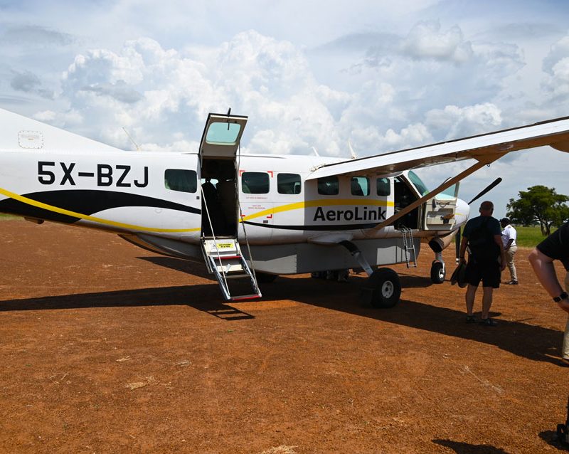 3-days-flying-gorilla-safari