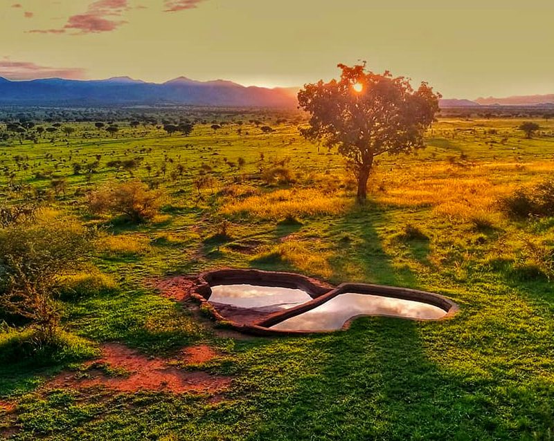 4-days-kidepo-road-safari